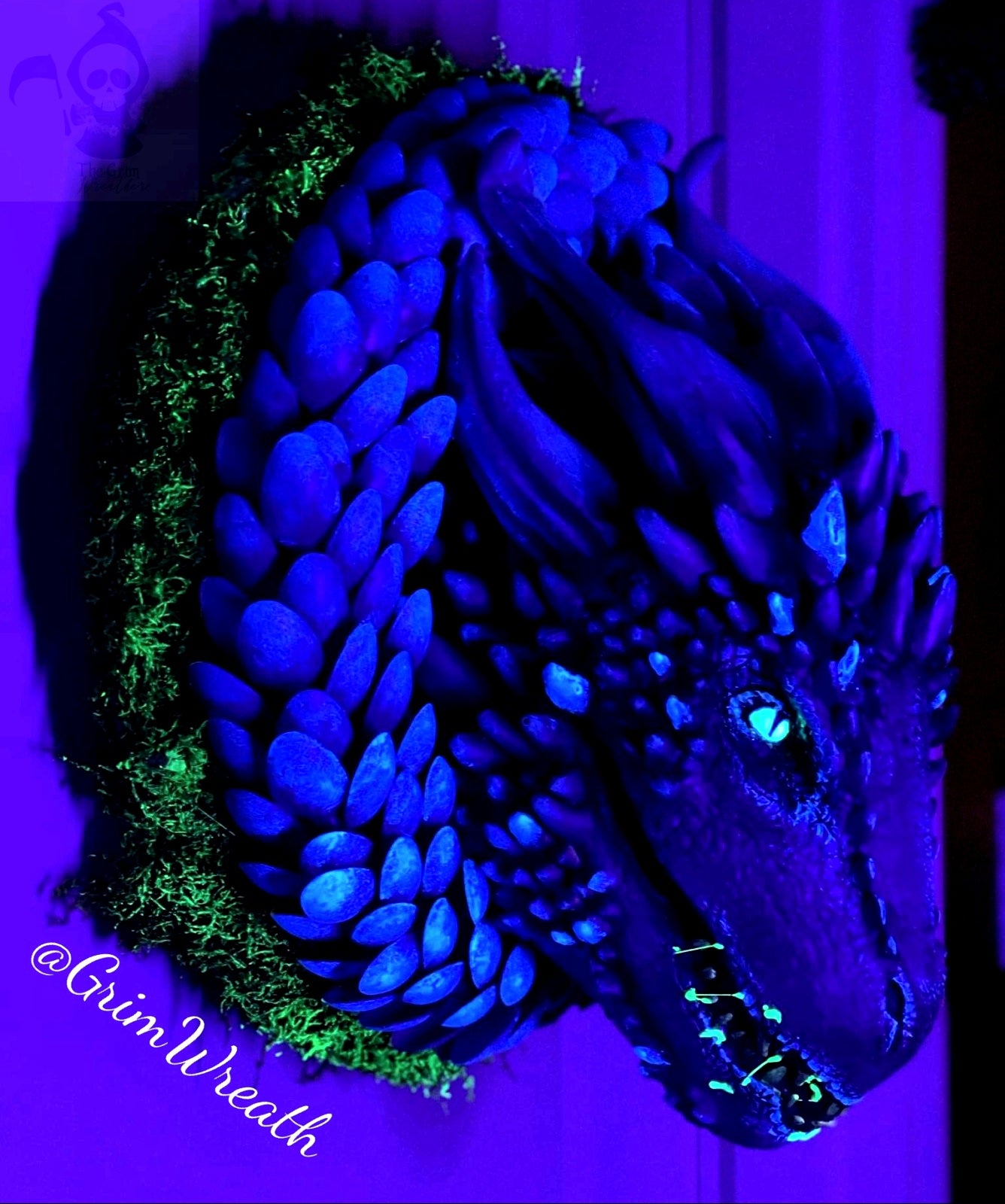 Blacklight Dragon